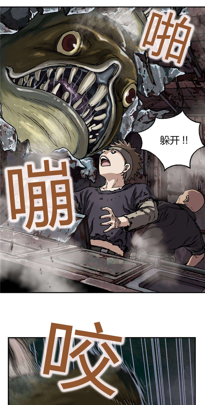 第42章：袭击5