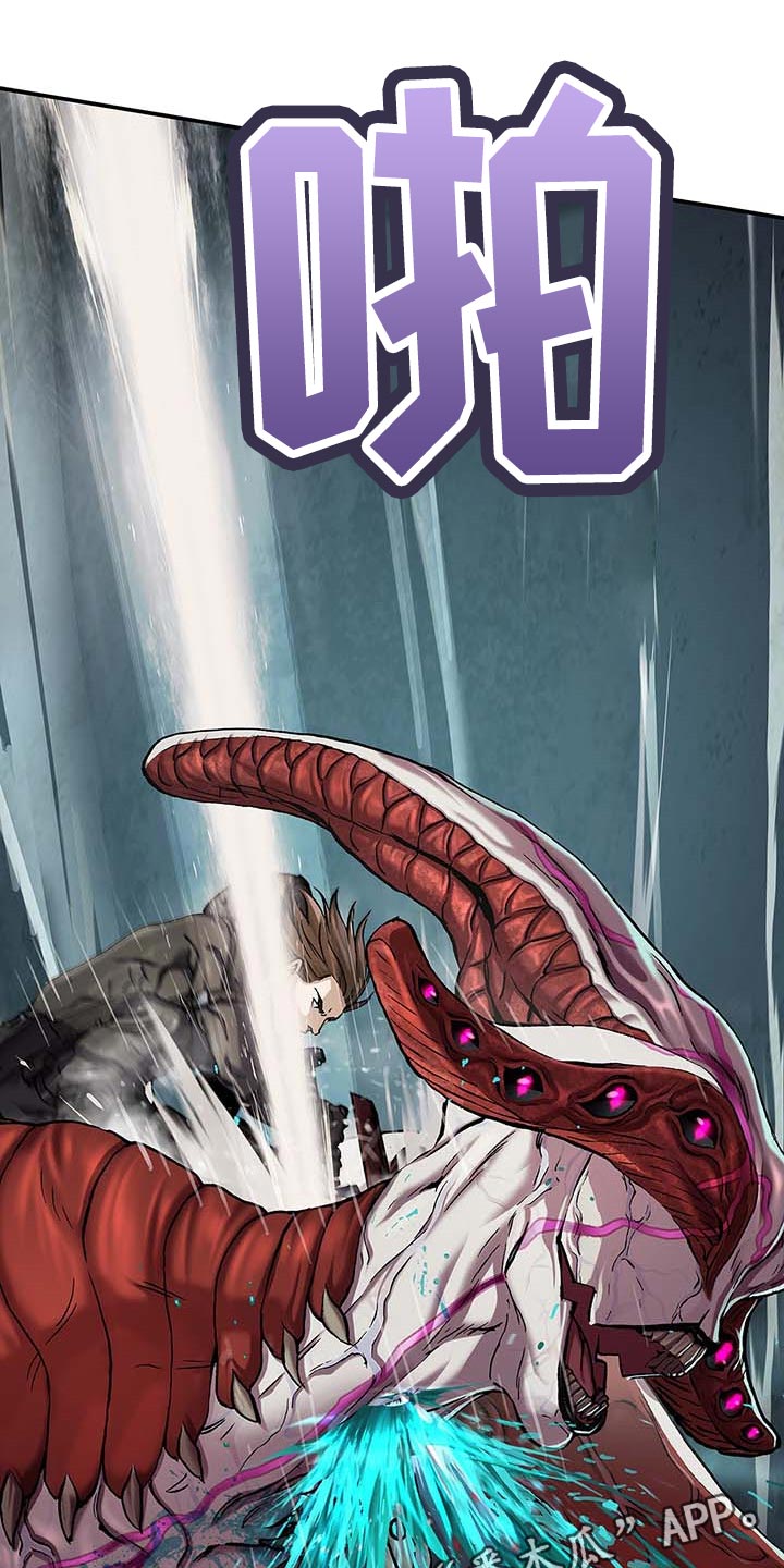 第283章：怜悯已经结束20