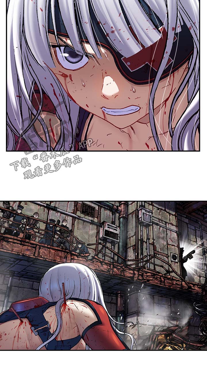 第175章：刺杀5