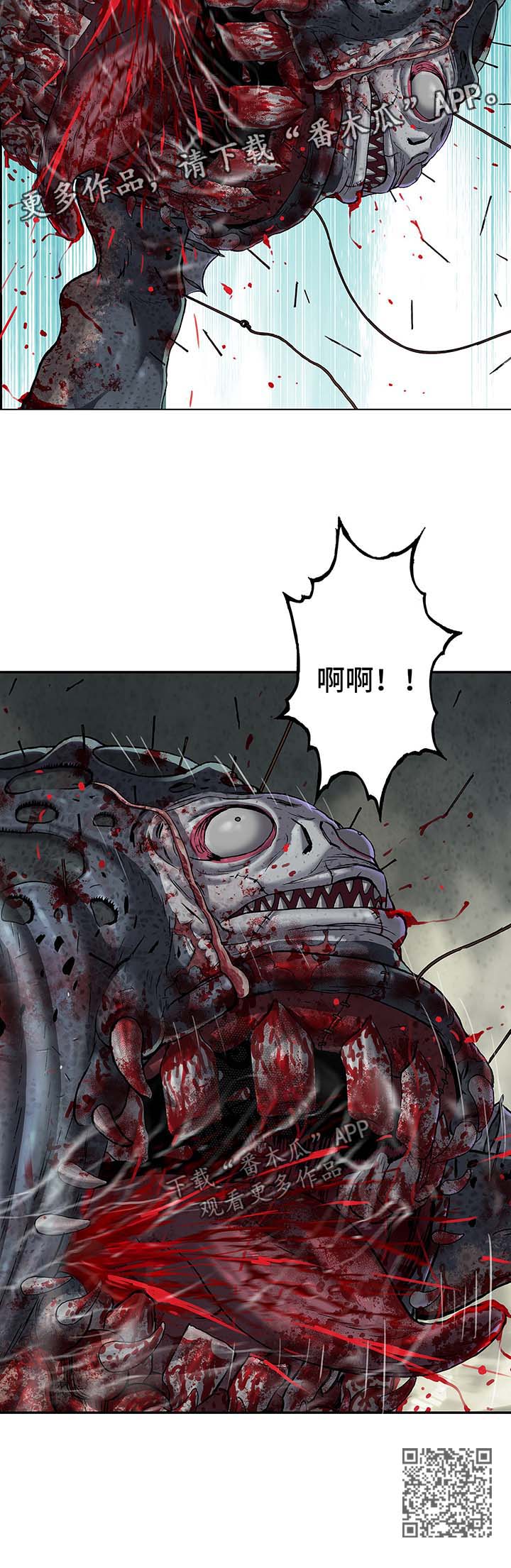 第172章：攻击12