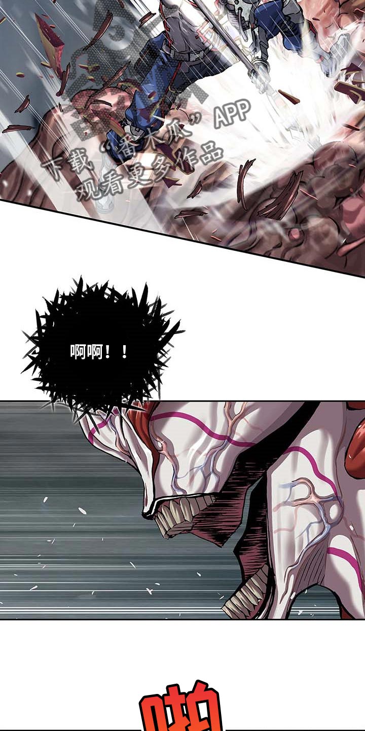 第289章：砍掉了12