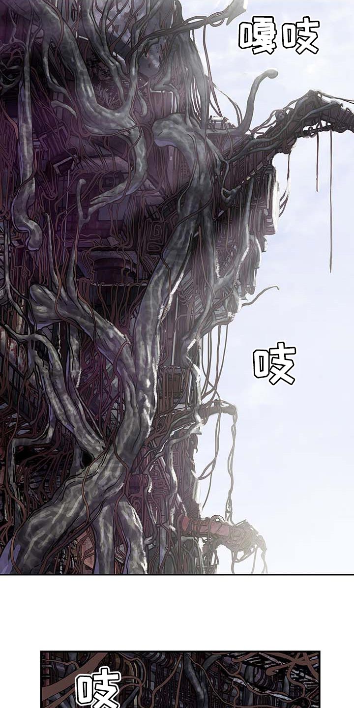 第283章：怜悯已经结束1