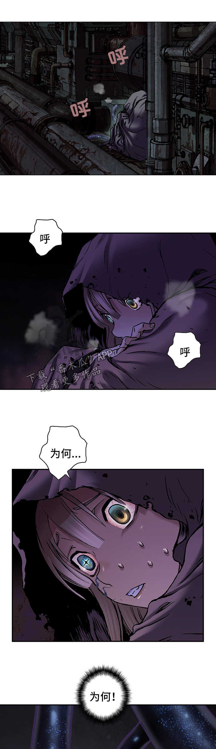 第196章：回不去了4