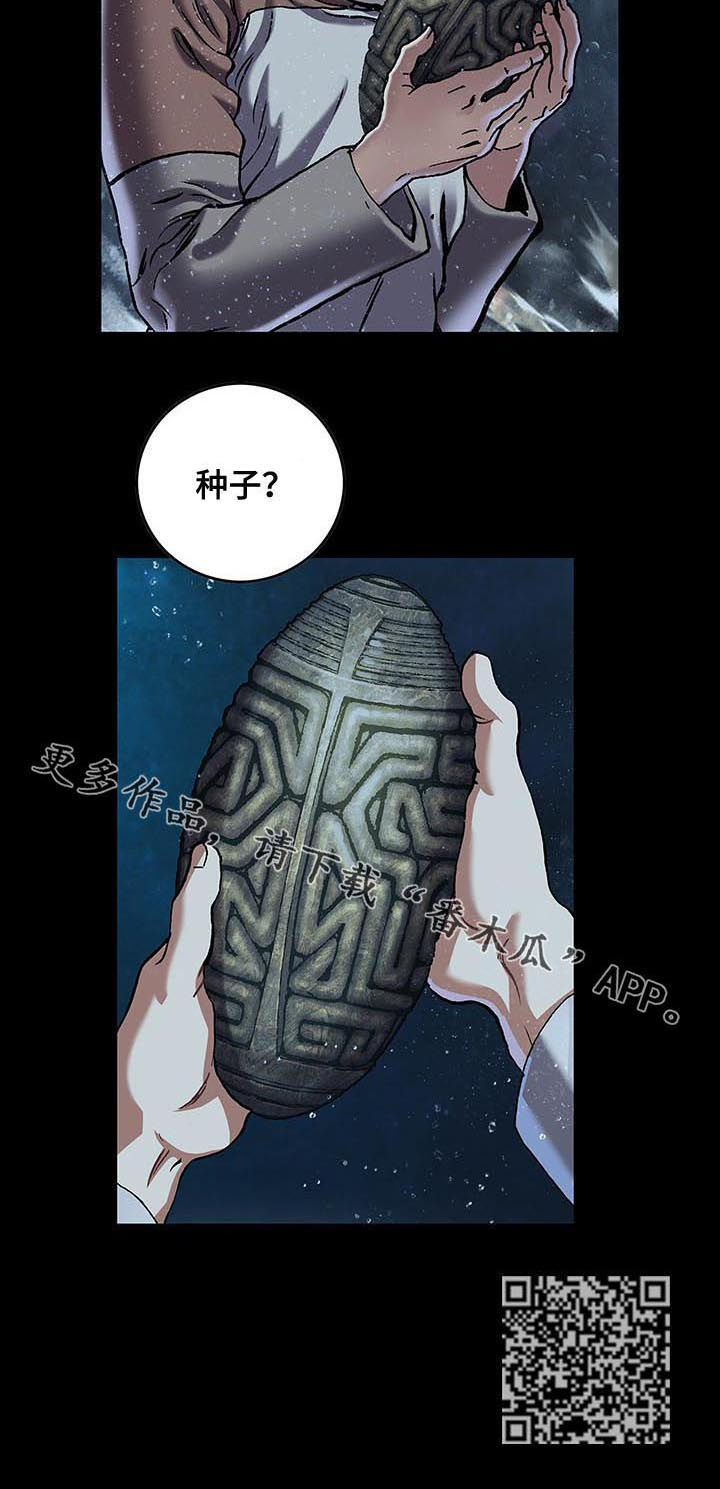 第232章：种子12