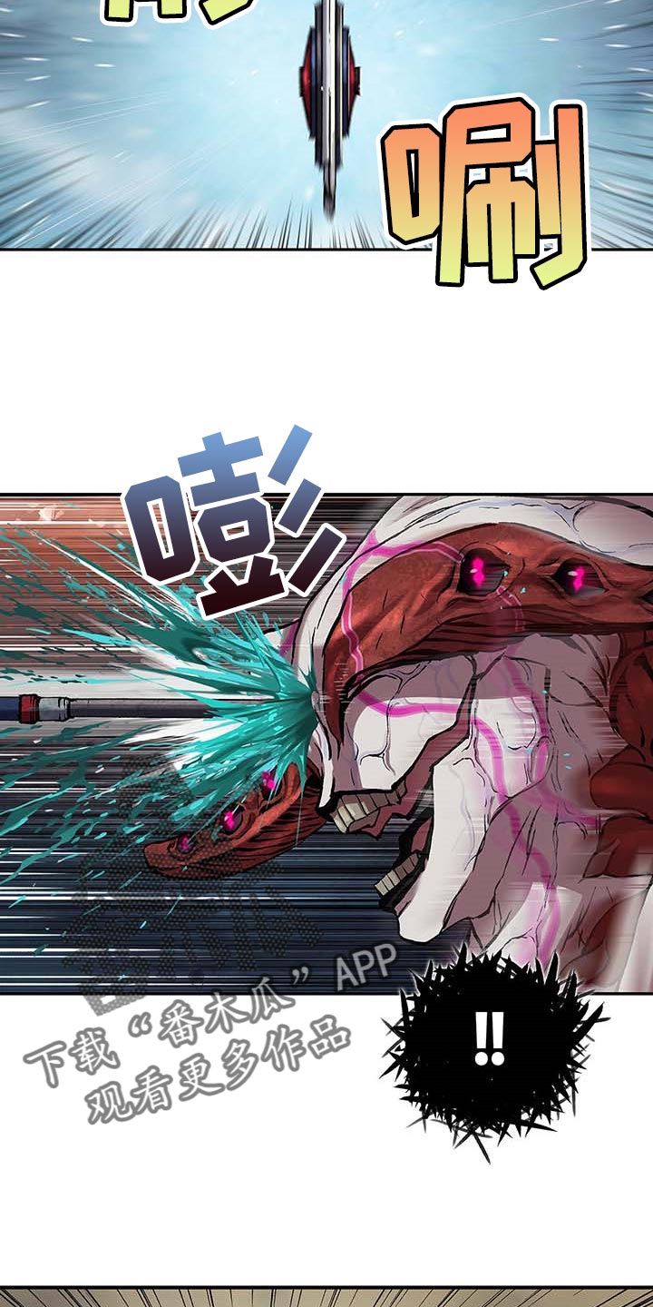 第290章：我赢了1