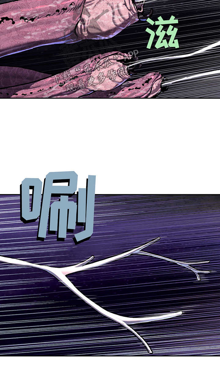 第209章：恐怖袭击2