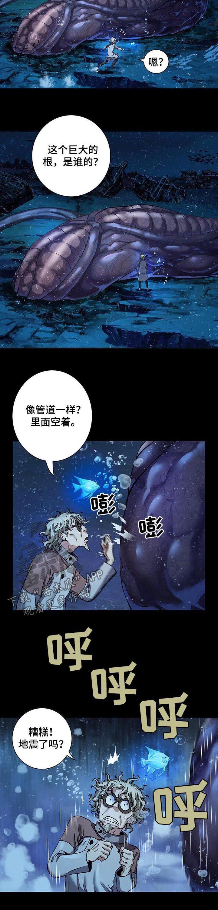 第232章：种子9