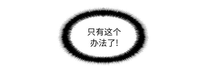第77章：唯一的办法53