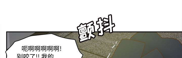 第78章：投降11
