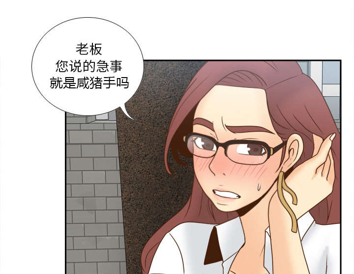 第62章：侦查地址54