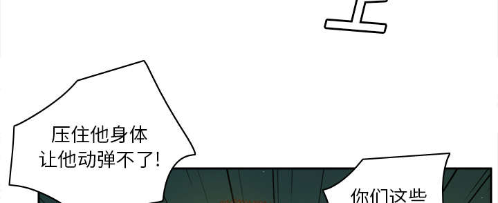 第77章：唯一的办法36
