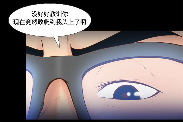 第22章：记录证据36