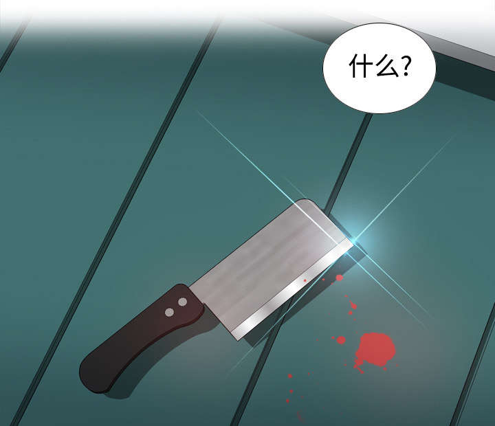 第15章：解除危机8