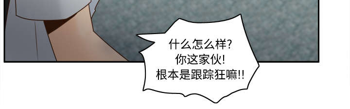 第46章：人形雷达9