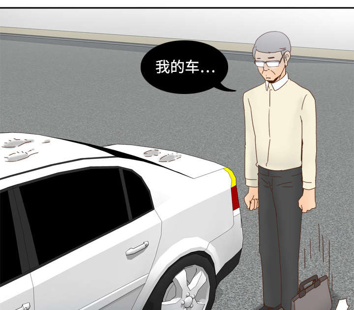 第29章：弃车保帅22