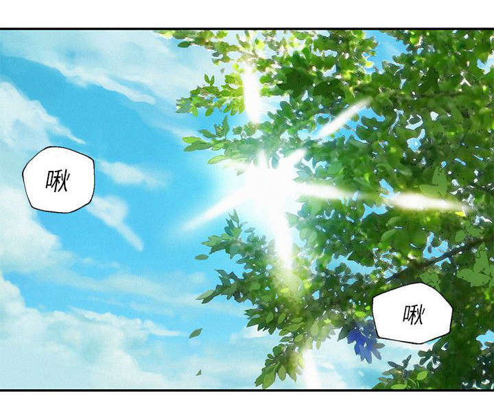 第10章：找到13