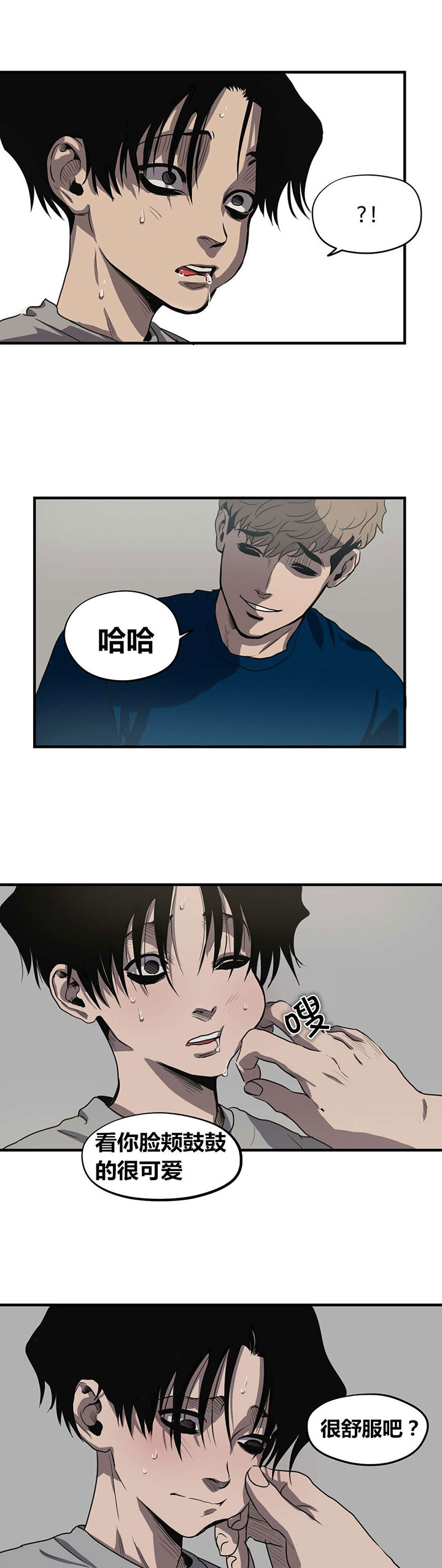 第15章：关系缓和11