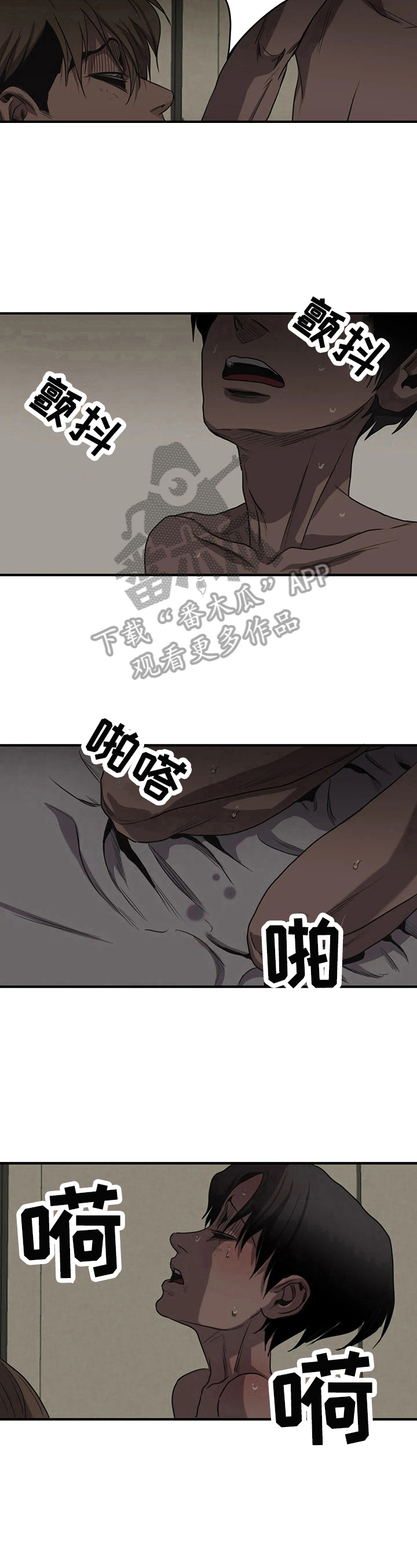 第155章：直视11