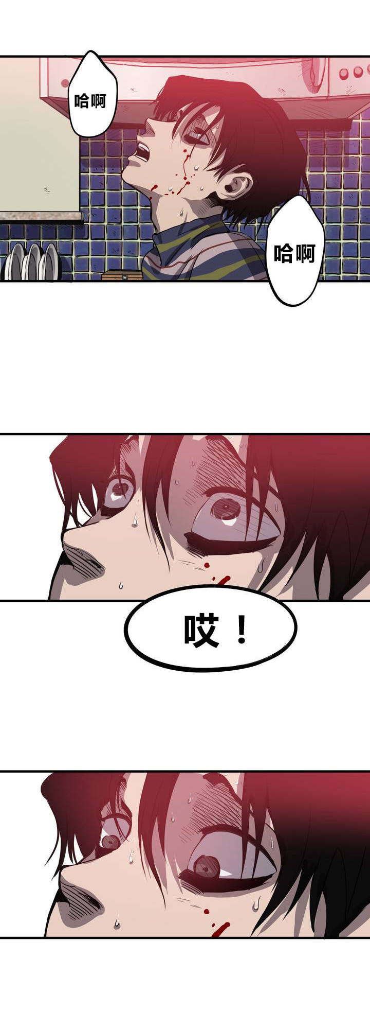 第10章：动物园15