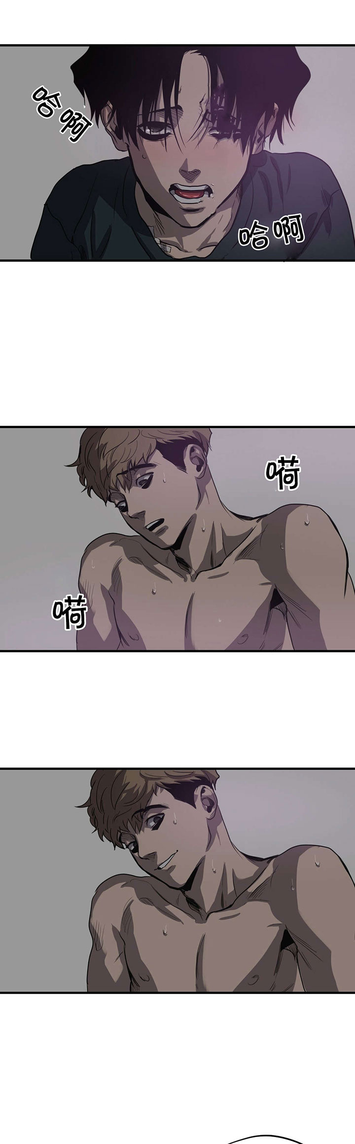 第16章：理解11