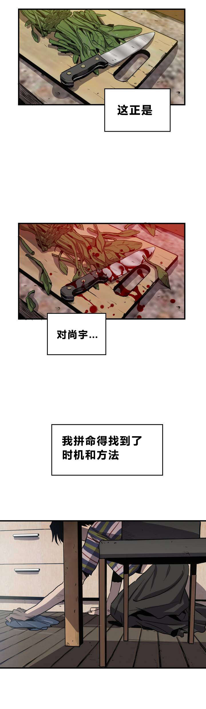 第10章：动物园19