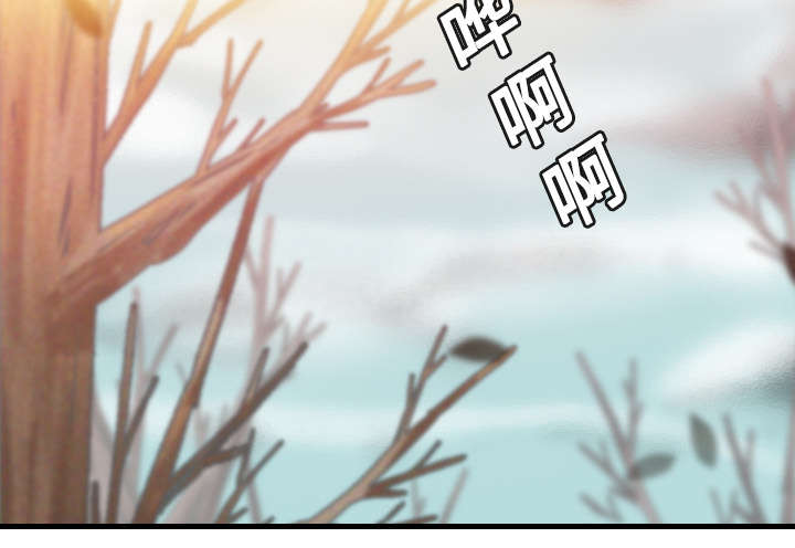 第19章：迟来的相遇20