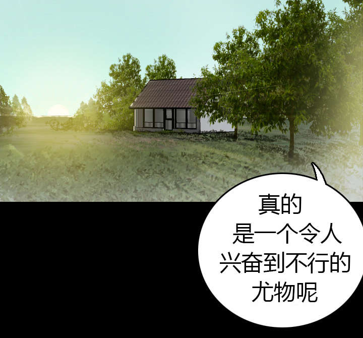 第13章：绝望与寄托22