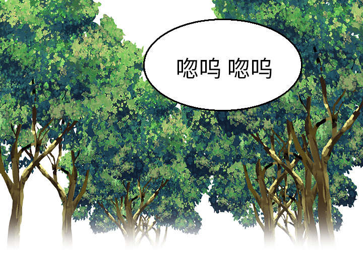 第23章：丛林偶遇6