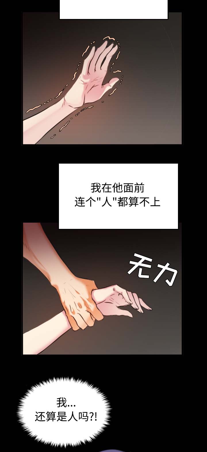 第50章：回到岛上5
