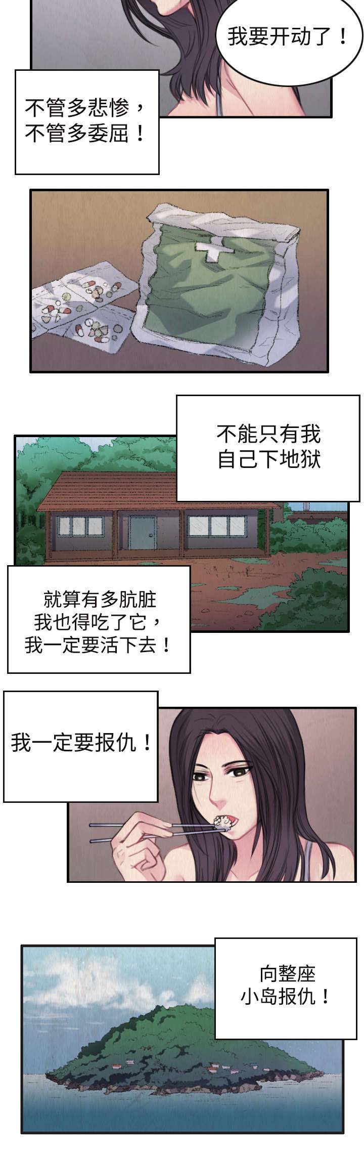 第2章：向小岛复仇10