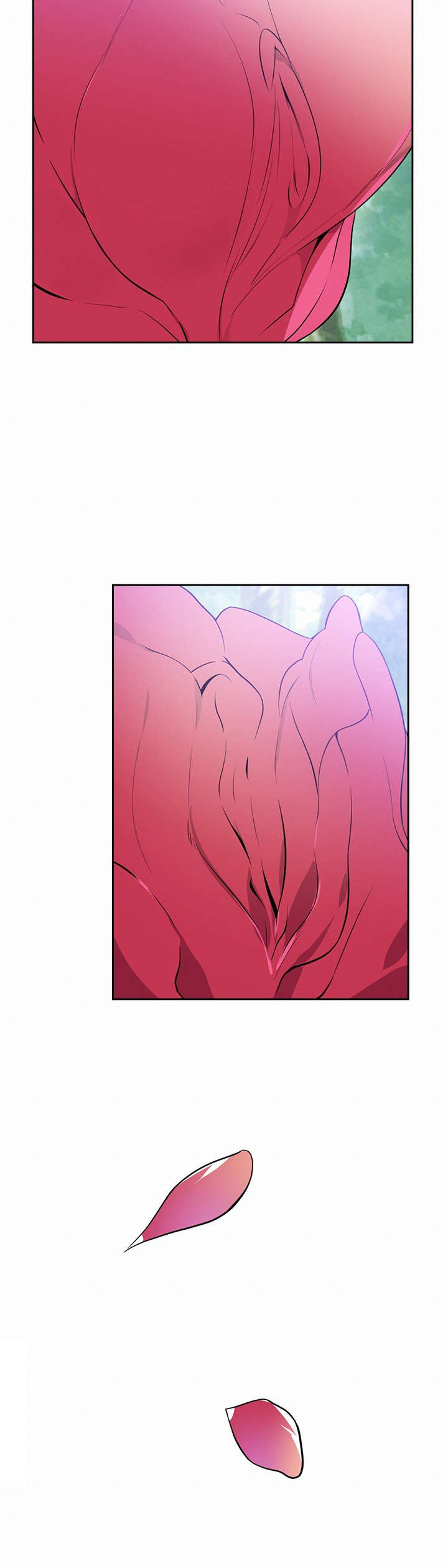第53章：梦5