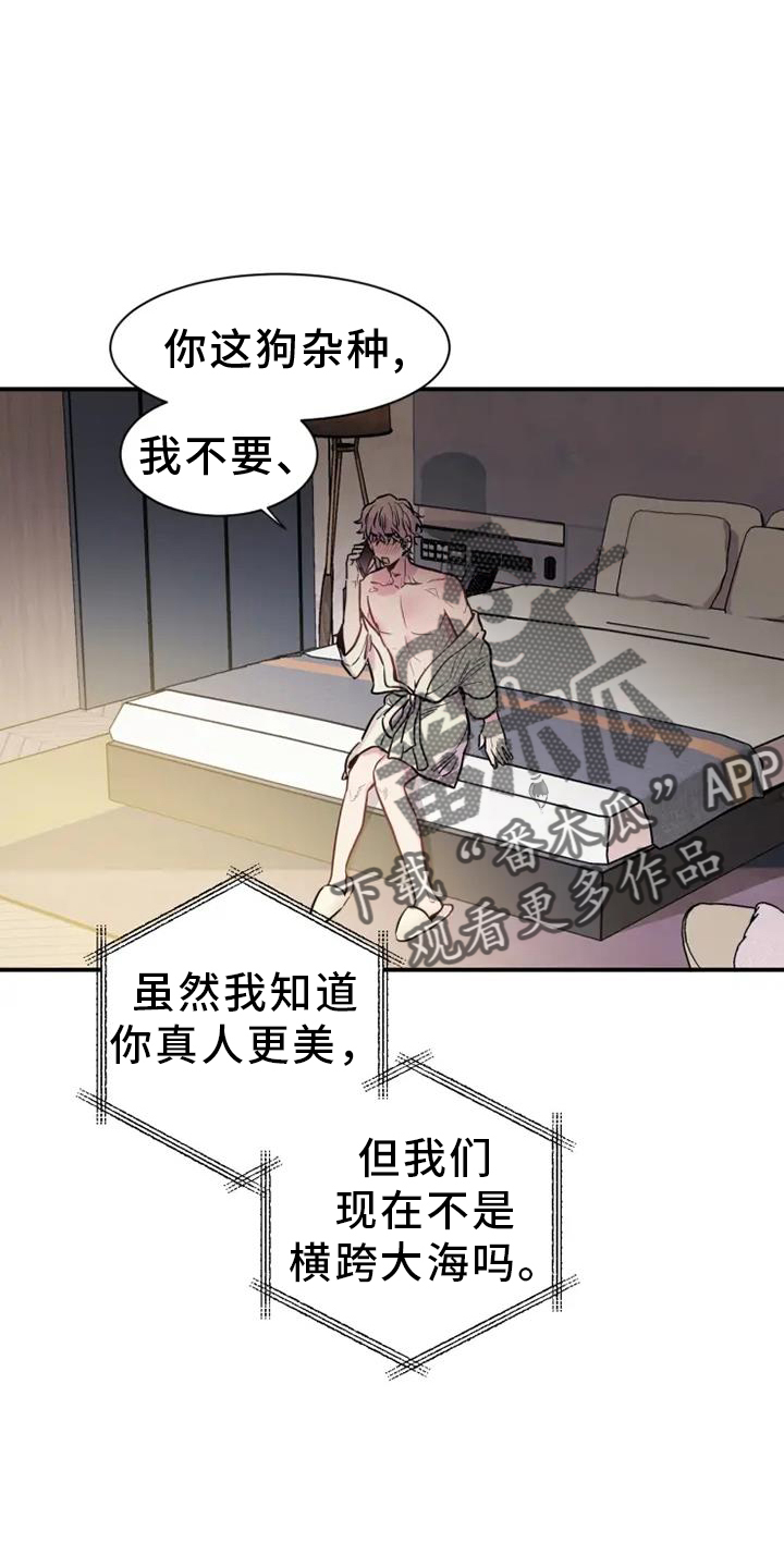 第66章：电话交流5