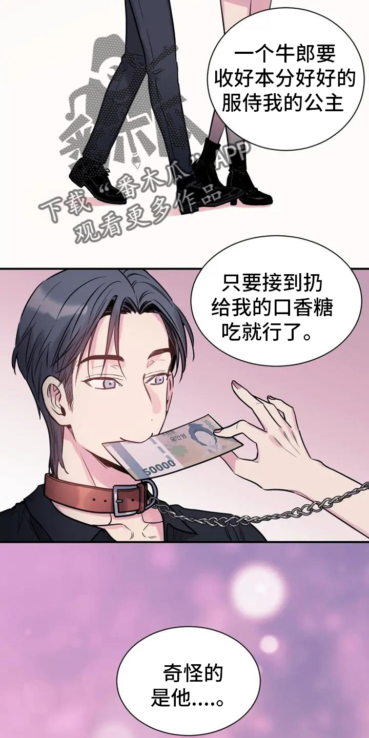 第71章：静观其变13
