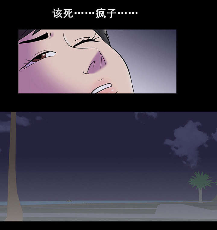 第86章：疯女人5