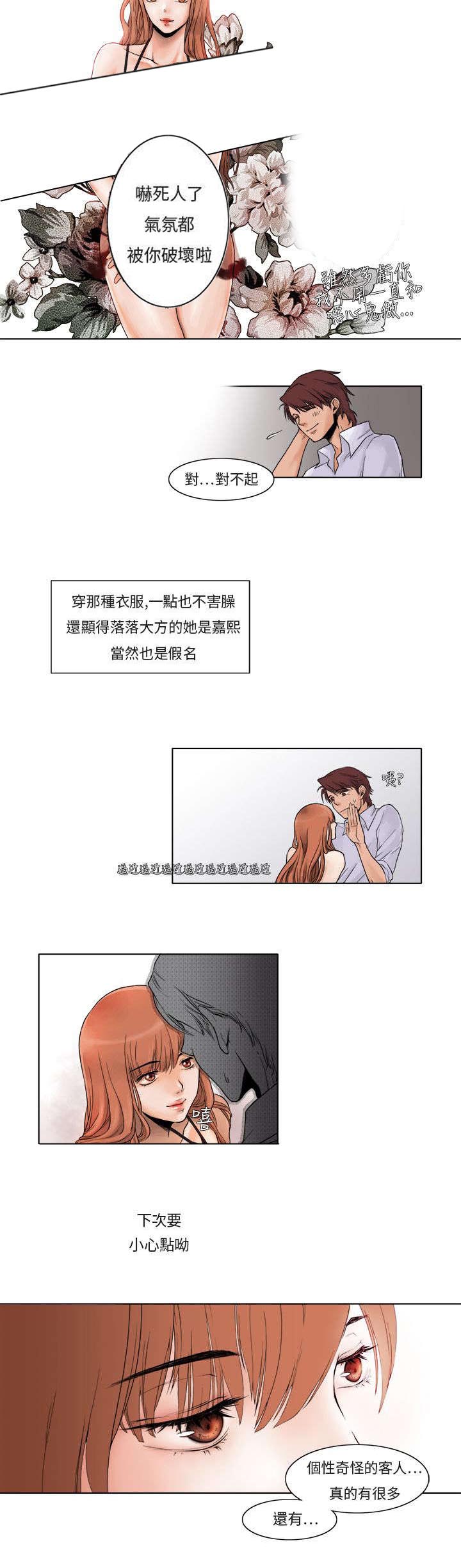 第2章：最美的花朵6