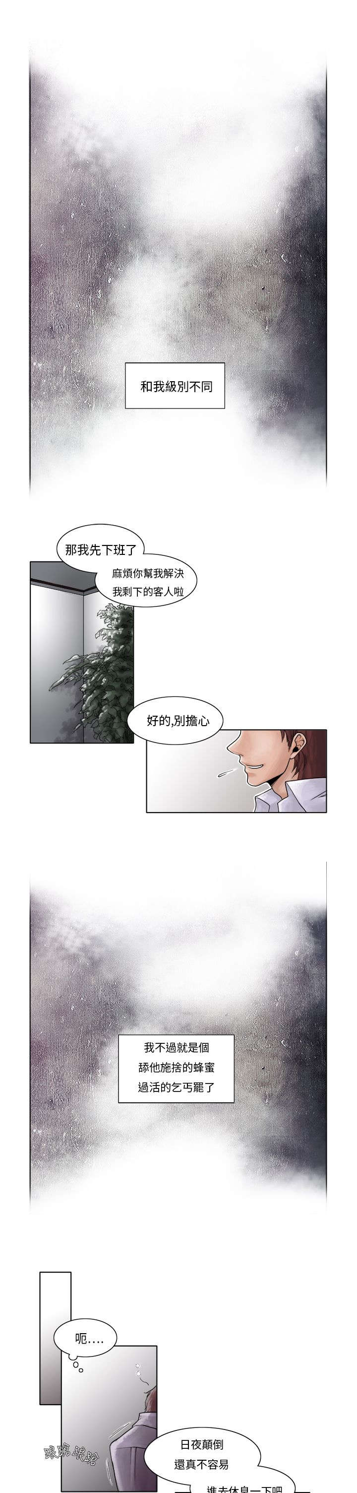 第2章：最美的花朵3