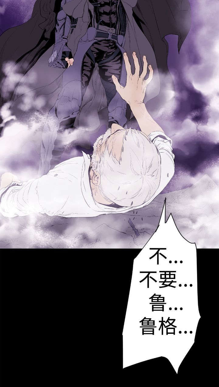 第11章：危机220