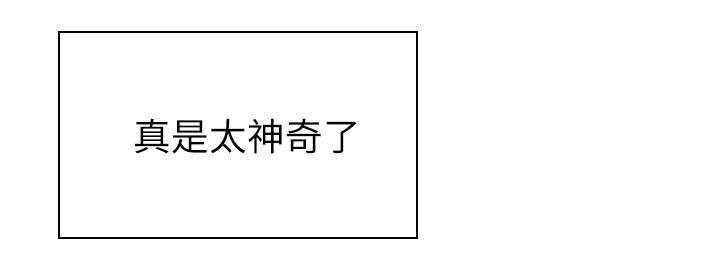 第46章：到底是什么人33