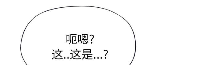 第46章：到底是什么人19