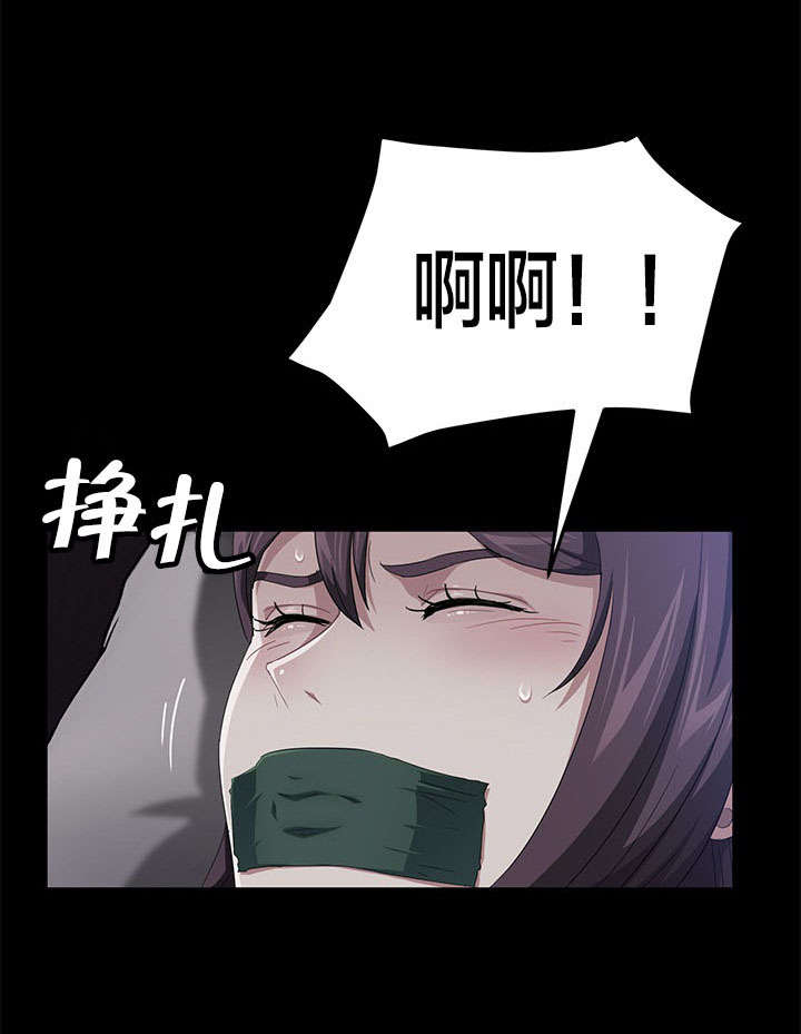 第48章：伪证13