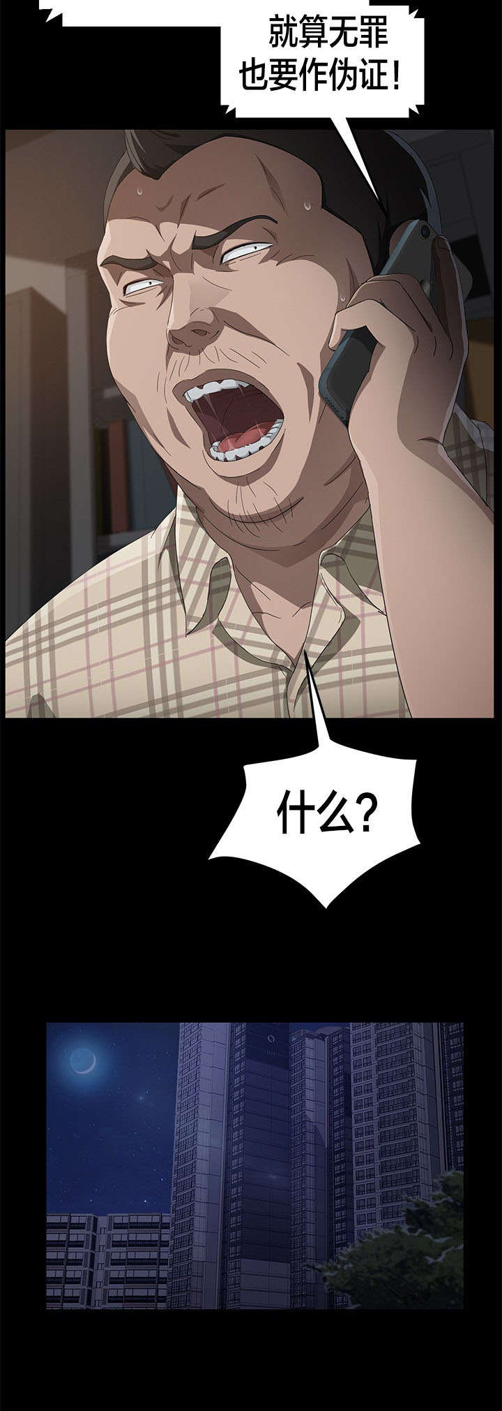 第48章：伪证12