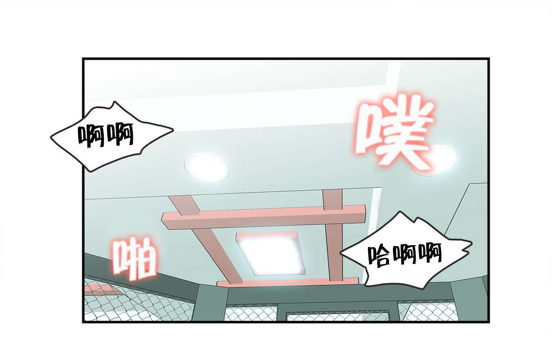 第4章：拳击少女朴雅言（完）15