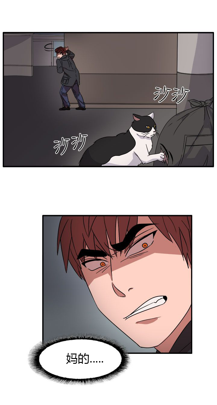 第55章：因为他像我啊1