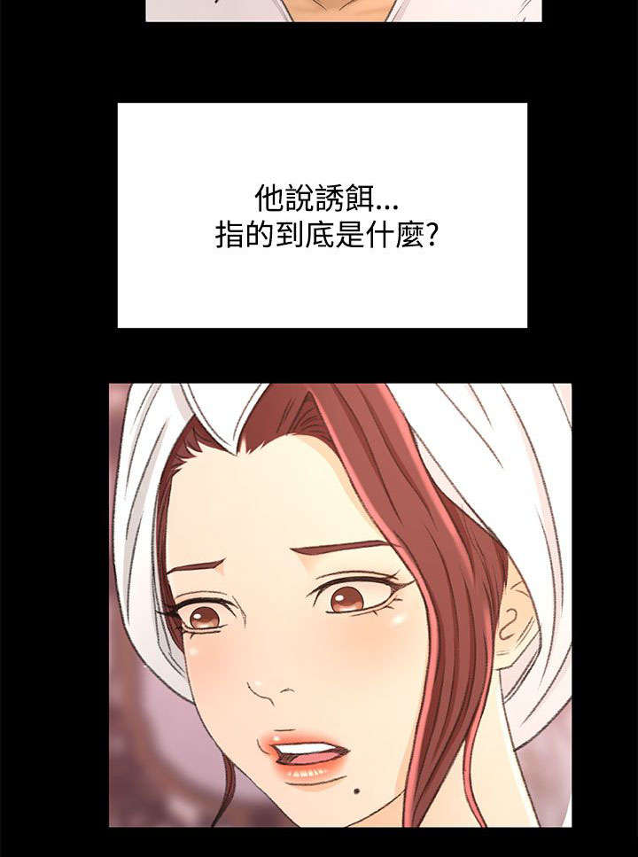 第27章：诱饵15