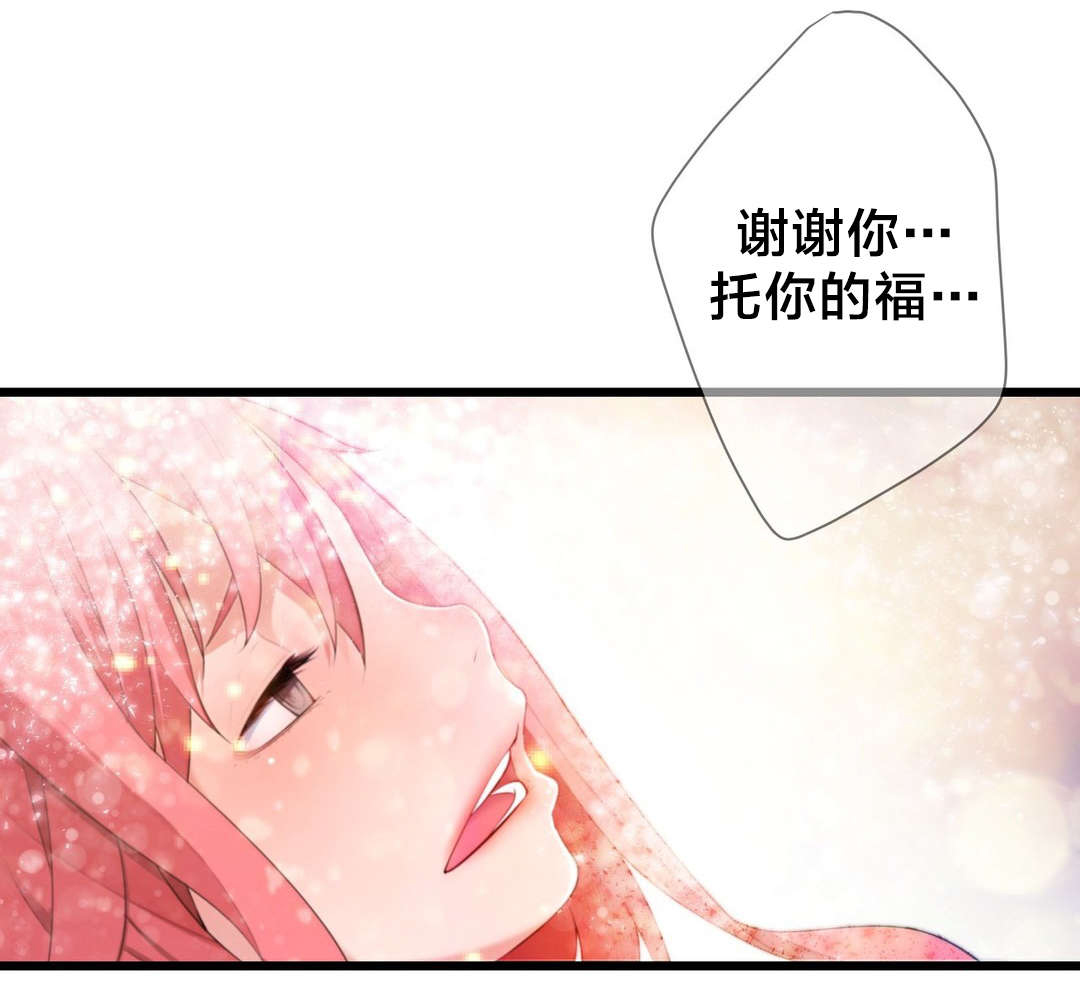 第55章：再见了，疯女人0
