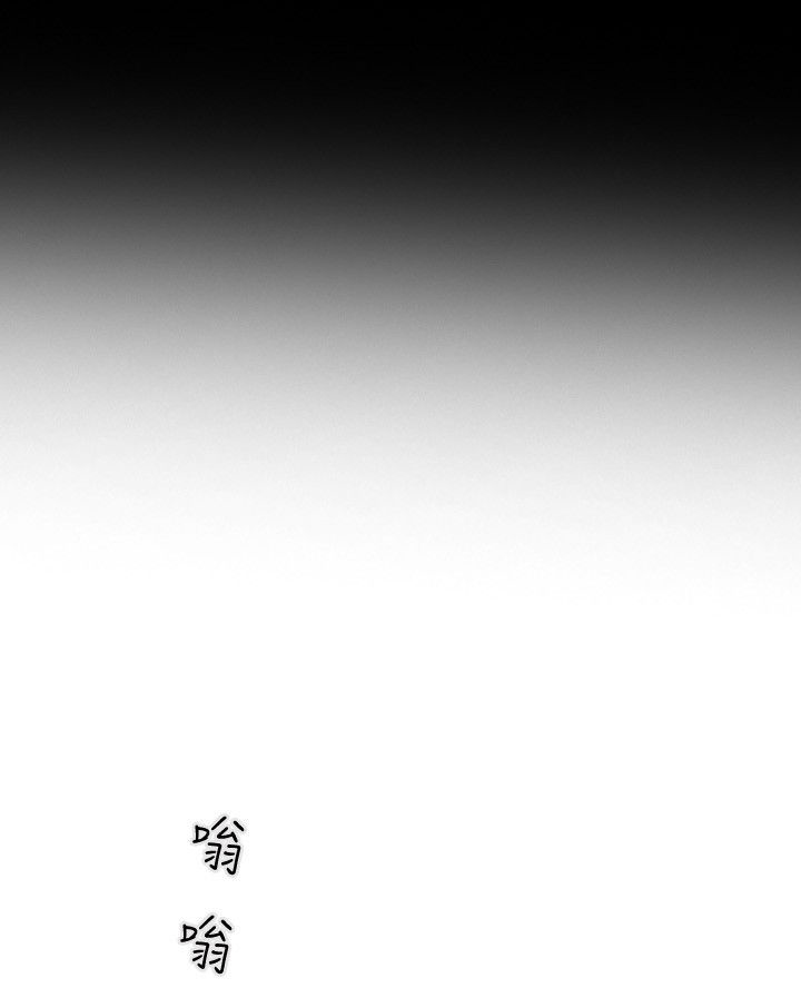 第71章：EGA11