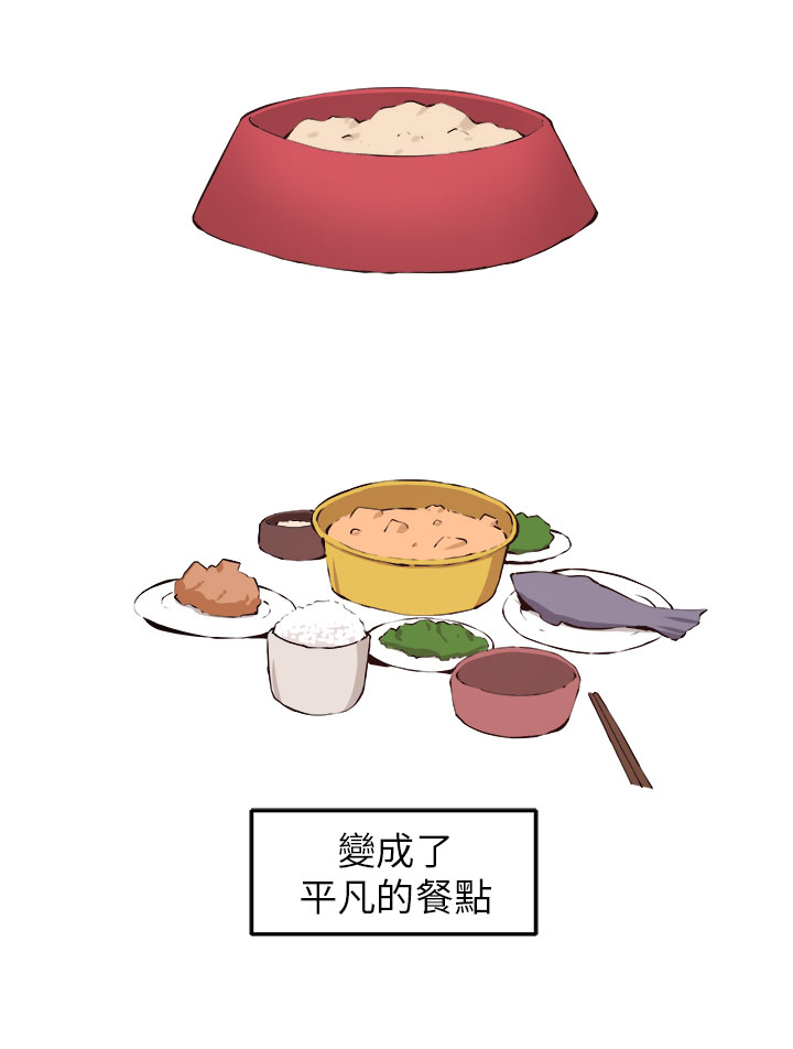 第11章：我的一切！19