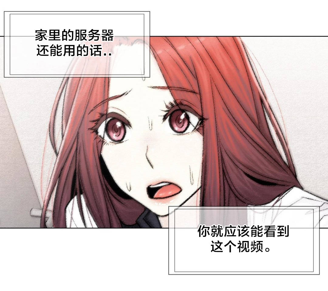 第100章：最后的视频21