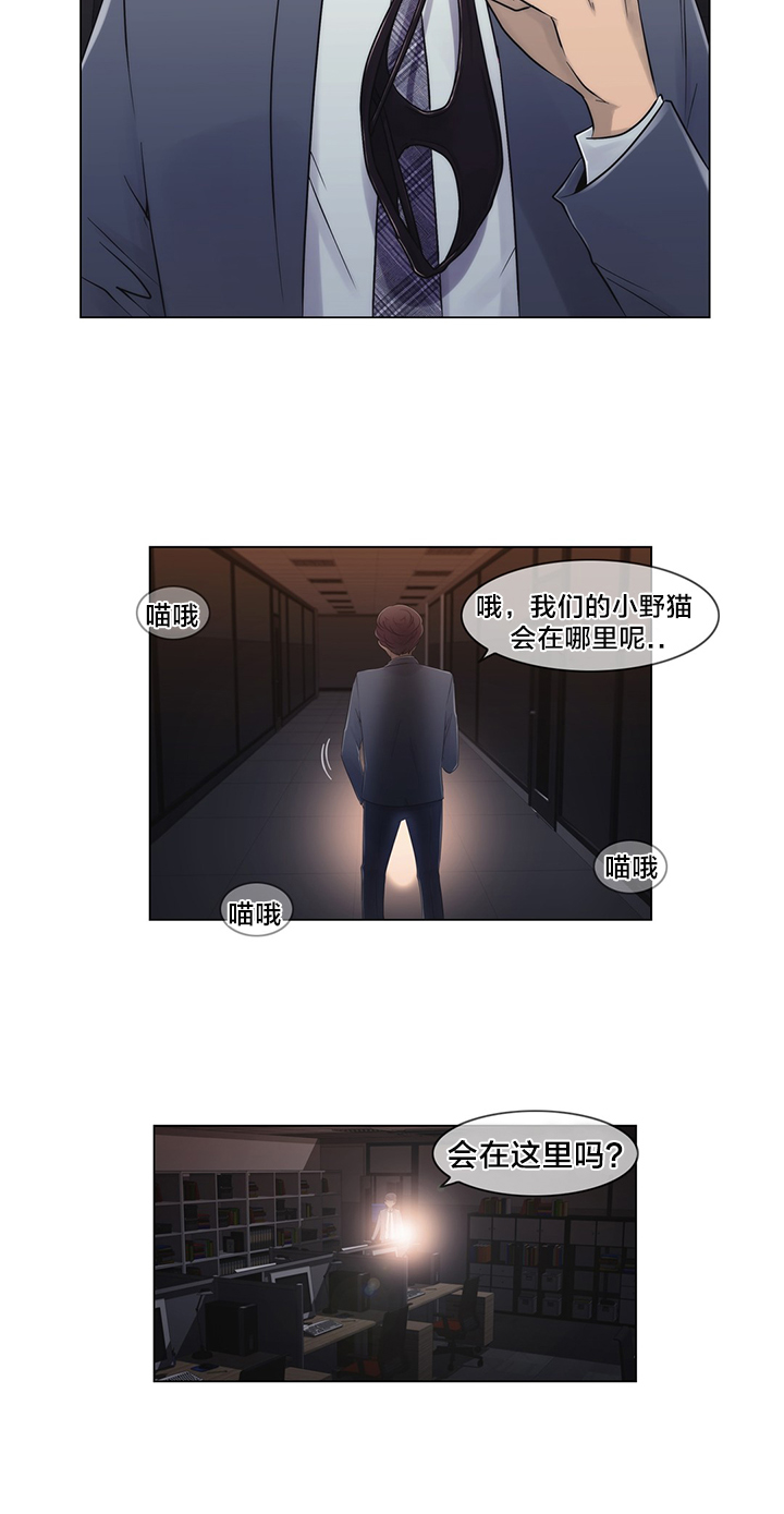 第20章：找到了17