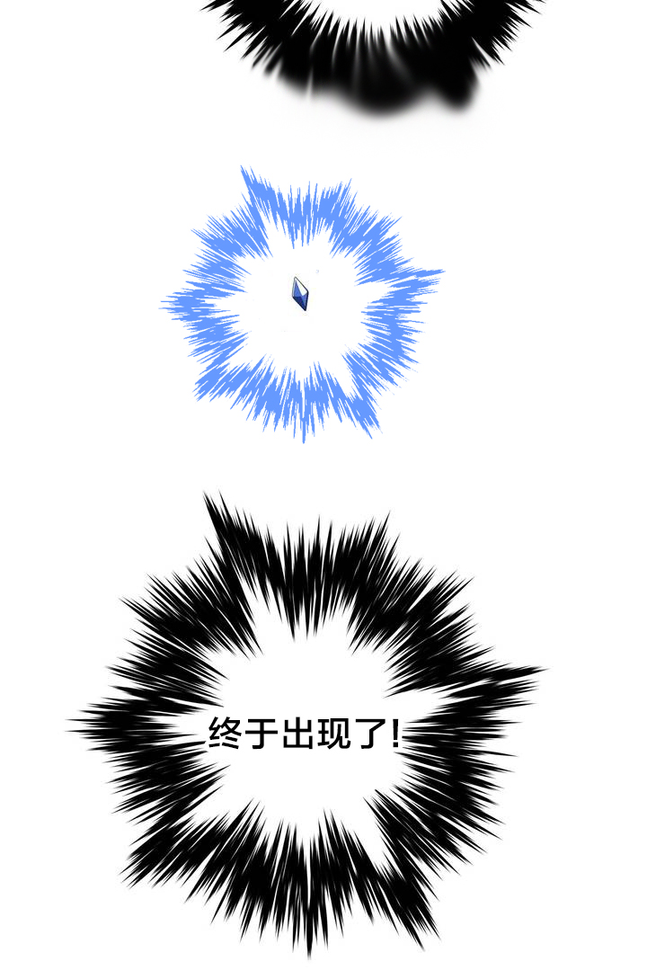 第1章：青玉冰晶13